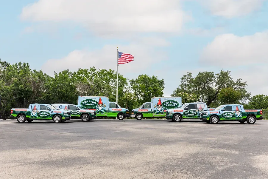 work-trucks-lined-up