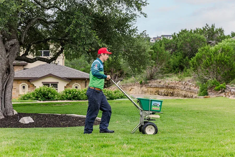 spreading-seed-on-lawn