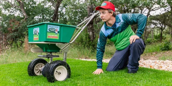 Employee reaching down and inspecting grass